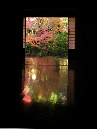 Illustration for article titled Bad Tourists Lead to Photography Ban at Japanese Temples